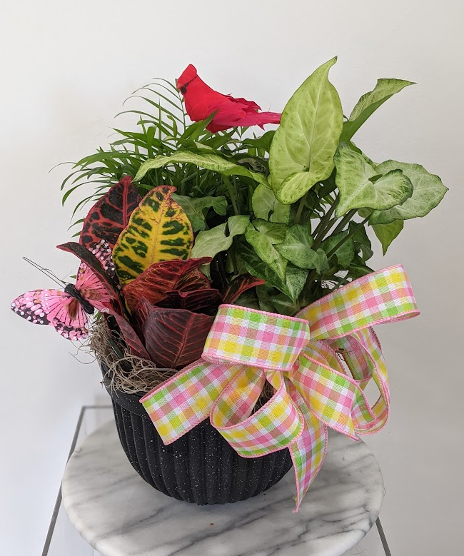 Dish garden bowl